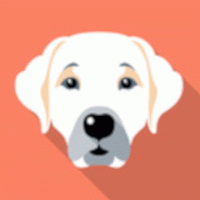 Detaillierte Beschreibung: Avatar Bild von Mitspieler:in RIEU