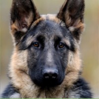 Detaillierte Beschreibung: Avatar Bild von Mitspieler:in NEUSEL