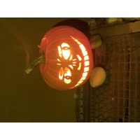 Detaillierte Beschreibung: Avatar Bild von Mitspieler:in BULLI56