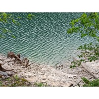 Detaillierte Beschreibung: Avatar Bild von Mitspieler:in DANTE