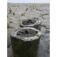 Detaillierte Beschreibung: Avatar Bild von Mitspieler:in FIESEFRIESIN