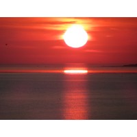 Detaillierte Beschreibung: Avatar Bild von Mitspieler:in HAGGA