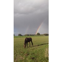 Detaillierte Beschreibung: Avatar Bild von Mitspieler:in HASELBACH VULKAN