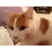 Detaillierte Beschreibung: Avatar Bild von Mitspieler:in JUKA