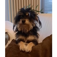 Detaillierte Beschreibung: Avatar Bild von Mitspieler:in KLAJA