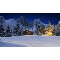 Detaillierte Beschreibung: Avatar Bild von Mitspieler:in KOCOUR