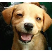 Detaillierte Beschreibung: Avatar Bild von Mitspieler:in MAPITOM