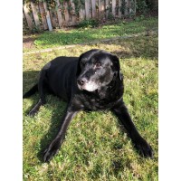 Detaillierte Beschreibung: Avatar Bild von Mitspieler:in MUMSCAR