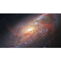 Detaillierte Beschreibung: Avatar Bild von Mitspieler:in RENFRED