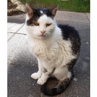 Detaillierte Beschreibung: Avatar Bild von Mitspieler:in SCHNURRI