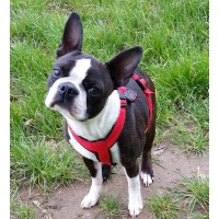 Detaillierte Beschreibung: Avatar Bild von Mitspieler:in TINA_1990