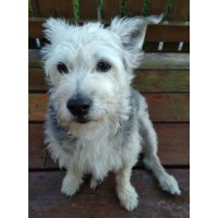 Detaillierte Beschreibung: Avatar Bild von Mitspieler:in WOLF53