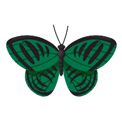 Doppel-Hase Spiel über 10 Spielrunden, dem Karten Motiv Schmetterlinge und 8 Bildern pro Runde