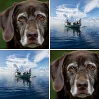 Memo Spiel mit 18 Bilderpaaren, dem Karten Motiv Elefant in Namibia und 48 Gewinnpunkten