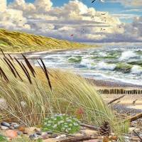 Suchbilder Spiel mit 11 Unterschieden in den Bildern