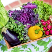 Schiebepuzzle mit 25 Schiebeteilen.